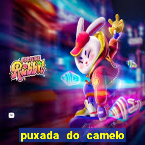 puxada do camelo no jogo do bicho